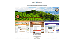 Desktop Screenshot of cds-tee.com